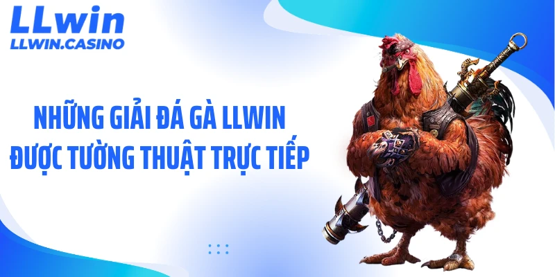 Những giải đá gà LLWIN được tường thuật trực tiếp